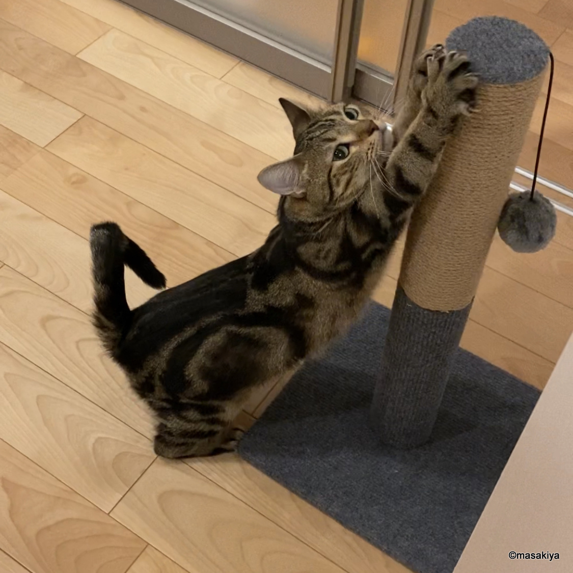 お出迎えの画像