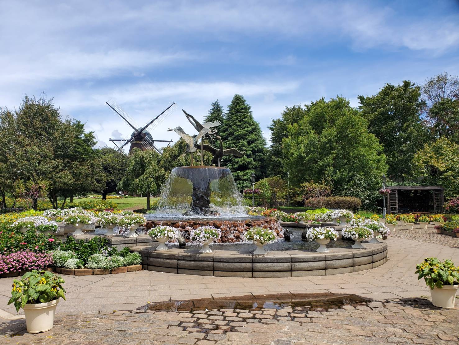 ９月１３日：ふなばしアンデルセン公園の画像