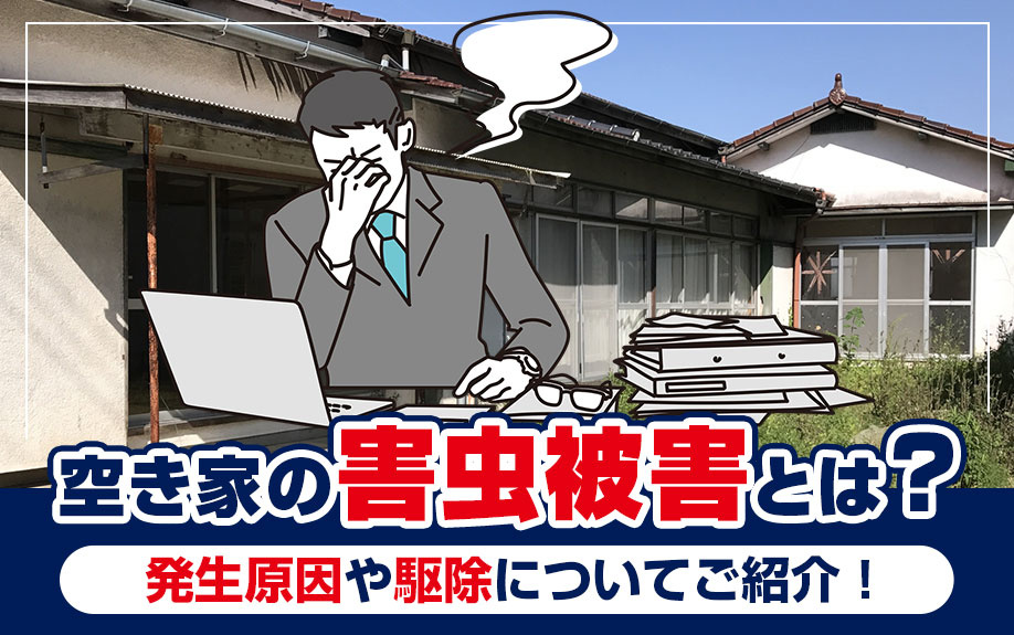 空き家の害虫被害とは？発生原因や駆除についてご紹介！の画像