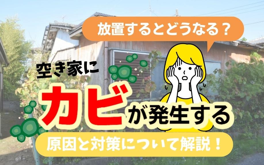放置するとどうなる？空き家にカビが発生する原因と対策について解説！の画像