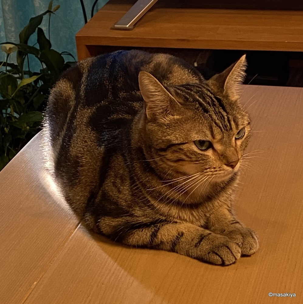 激熱な窓枠の画像