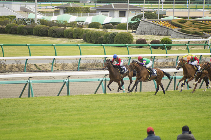 9月16日【競馬の日・日本中央競馬会発足記念日】の画像