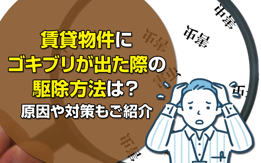賃貸物件にゴキブリが出た際の駆除方法は？原因や対策もご紹介