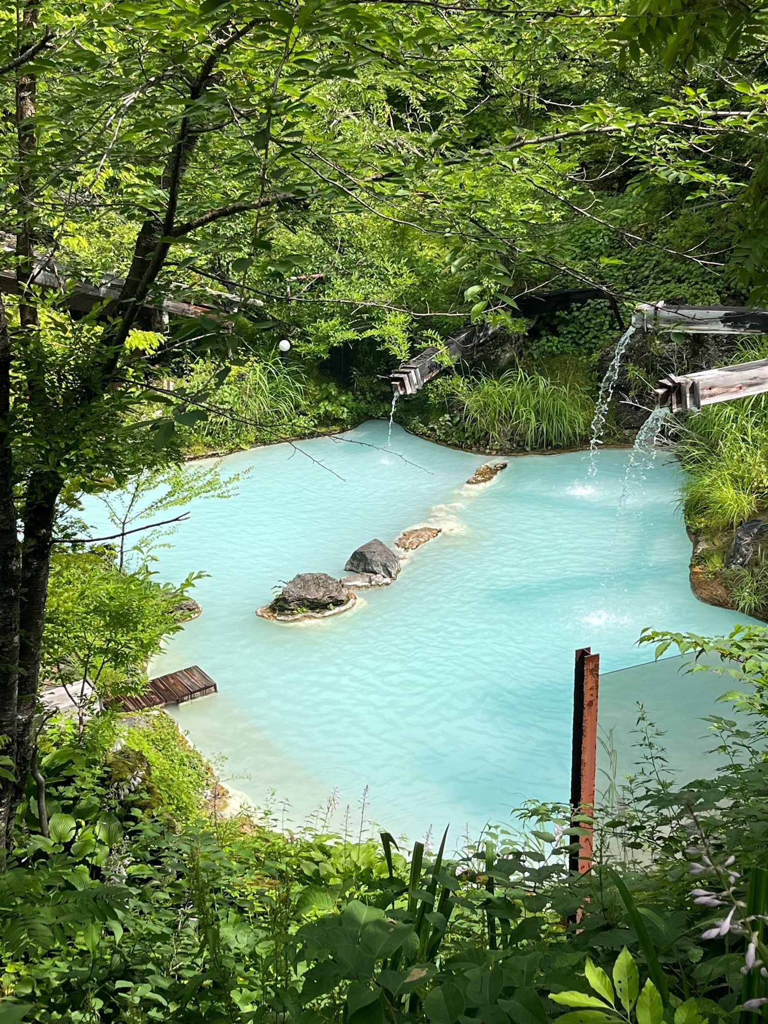 おんせん②の画像