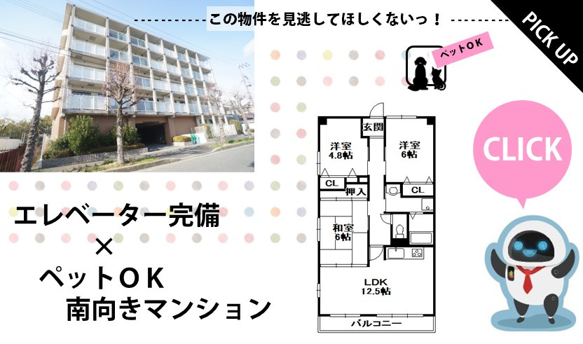 PICKUPの画像