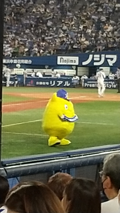 横浜ベイスターズの画像