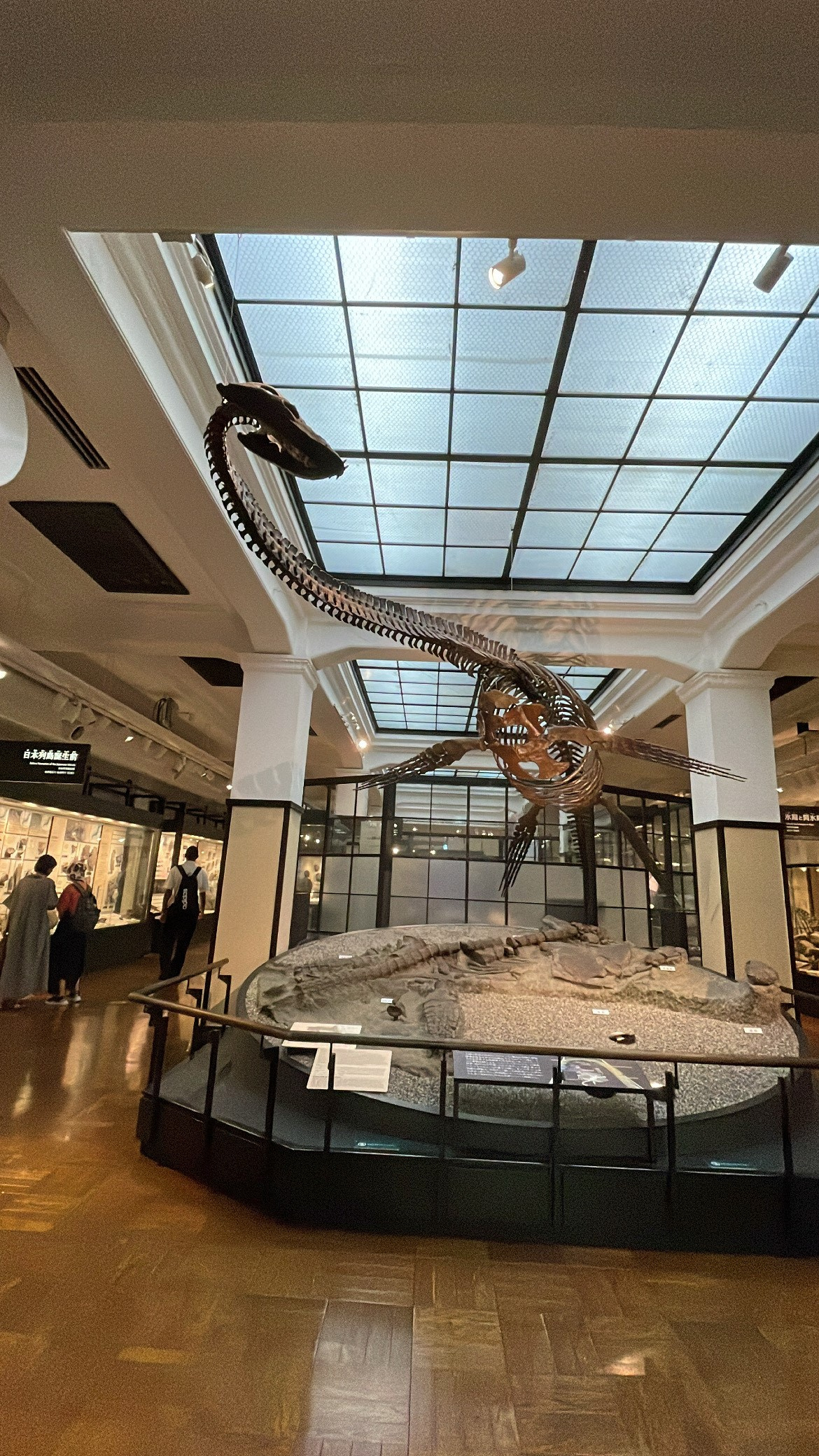 国立科学博物館に行ってきました！の画像