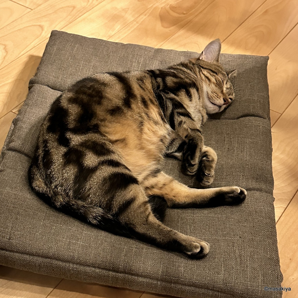 境界確認で傷だらけの画像