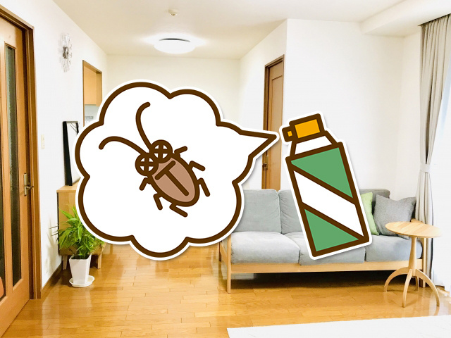 賃貸物件にゴキブリが発生する原因とは？事前の対策や駆除方法をご紹介