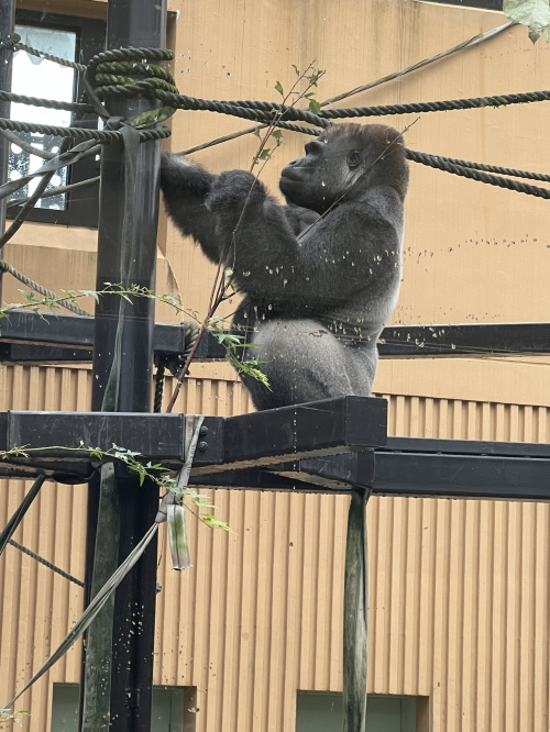 京都市が運営する・・・の画像