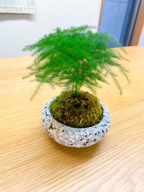 今月の事務所のお花('ω')ノの画像