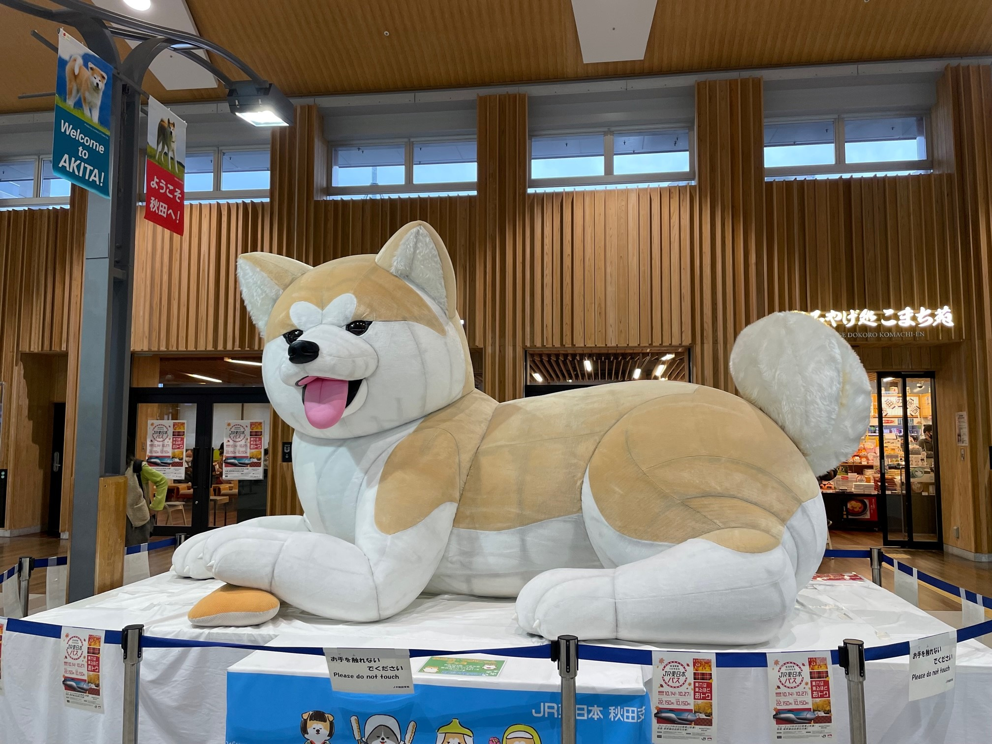 あきたいぬの画像