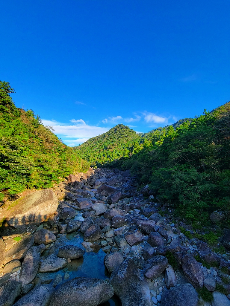 屋久島旅行の画像