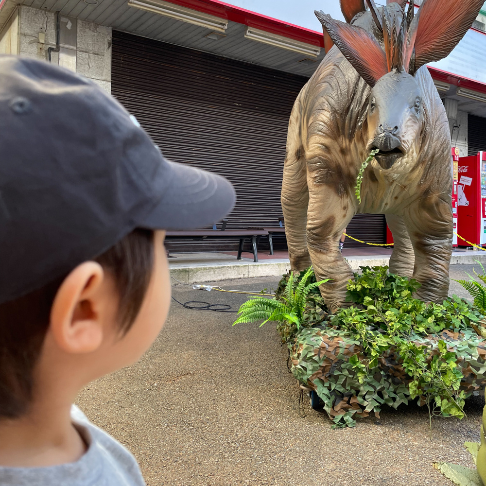 きょーるー見たい！の画像