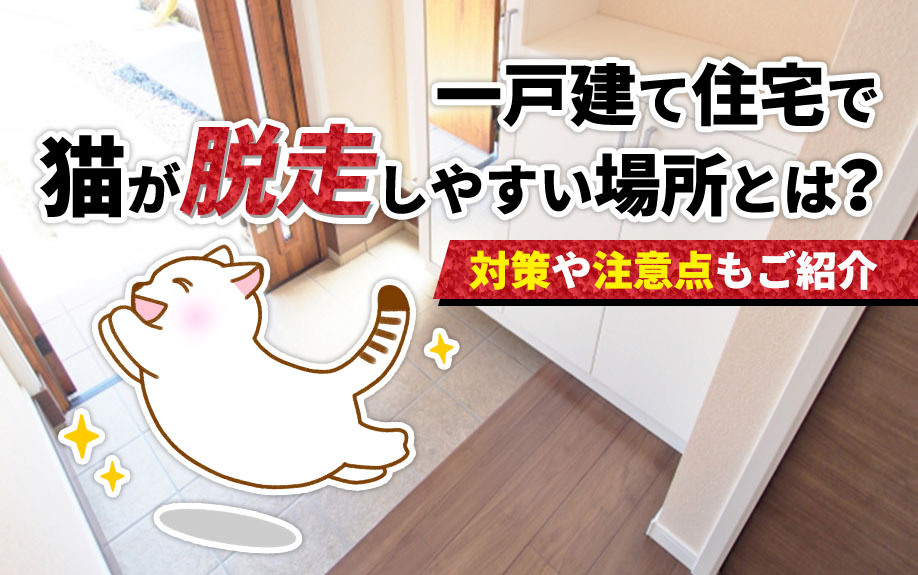 一戸建て住宅で猫が脱走しやすい場所とは？対策や注意点もご紹介の画像