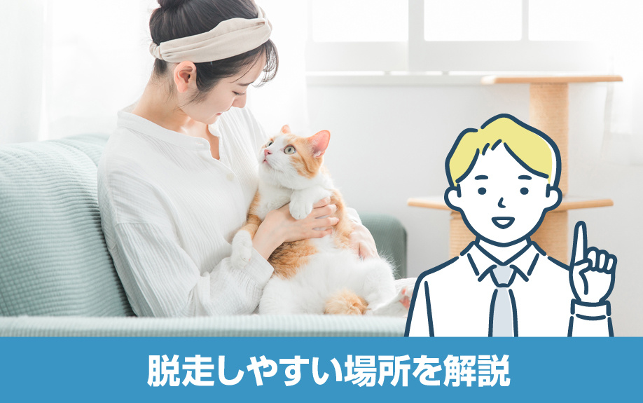 一戸建てで猫が脱走しやすい場所を解説