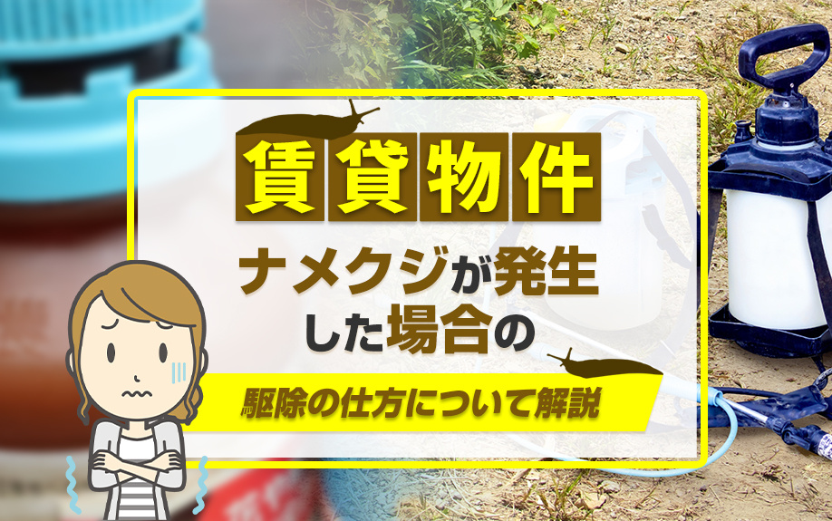 賃貸物件にナメクジが発生した場合の駆除の仕方について解説の画像