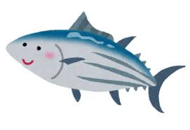 お魚ランチ！の画像