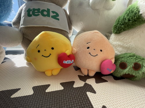ぬいぐるみたちに新しい仲間が増えました〜の画像