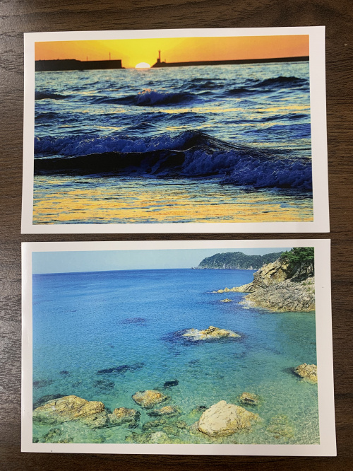 鳥取不動産★ライフエステート　ポストカードの画像