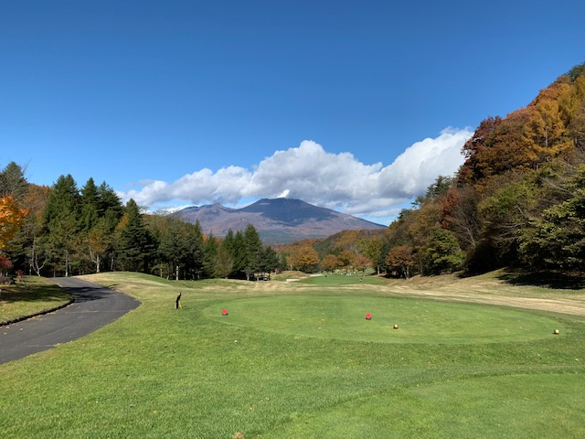 優秀じゃないから諦める。の画像