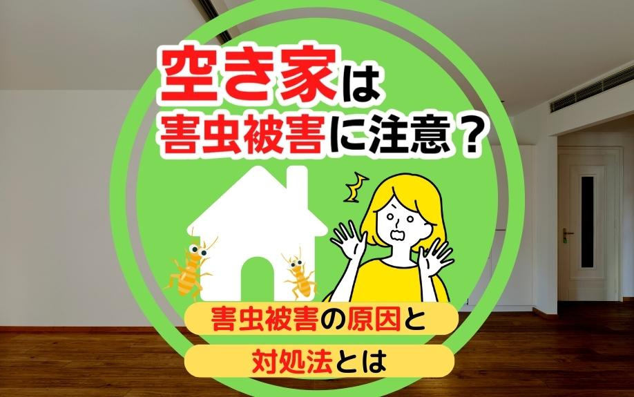 空き家は害虫被害に注意？害虫被害の原因と対処法とはの画像
