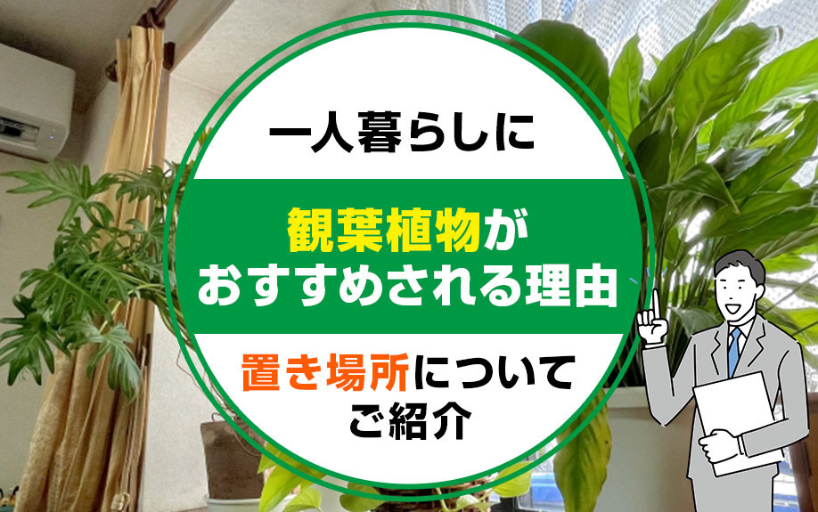 一人暮らしに観葉植物がおすすめされる理由や置き場所についてご紹介の画像