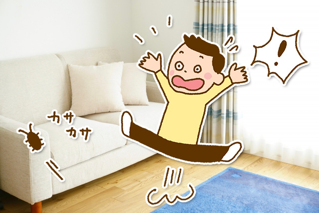 賃貸物件でゴキブリが発生！その対処法や駆除方法などについて詳しく解説