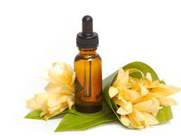 売却委託先を選ぶ際に・・・少しでも高値売却のためにできることの画像