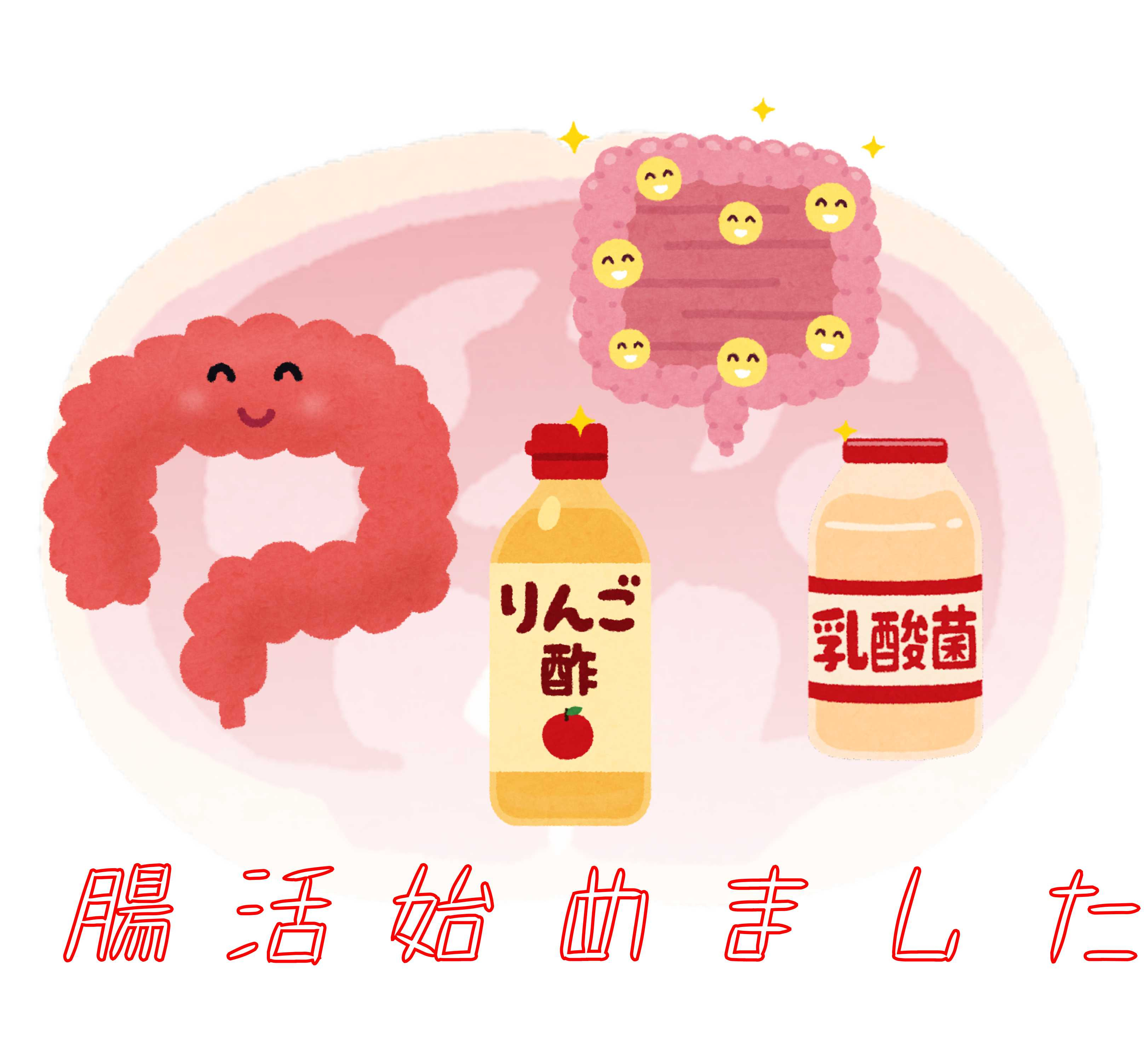 １１月４日：腸活始めましたの画像