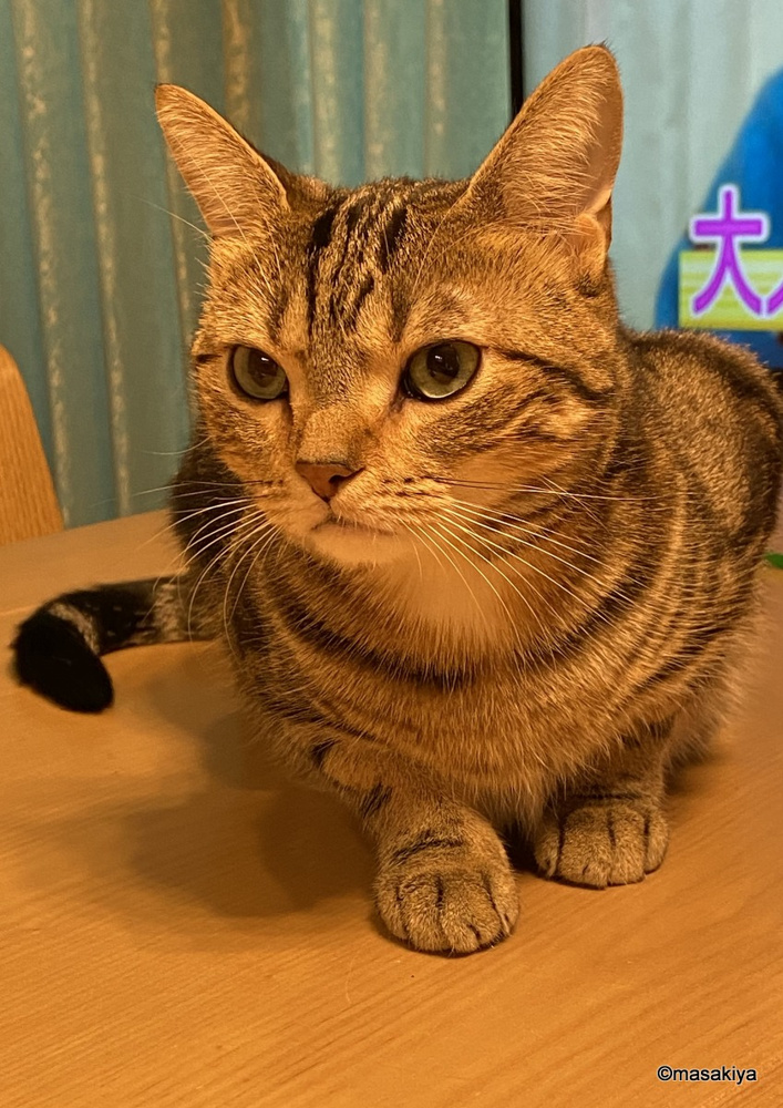 ややギックリ腰の画像