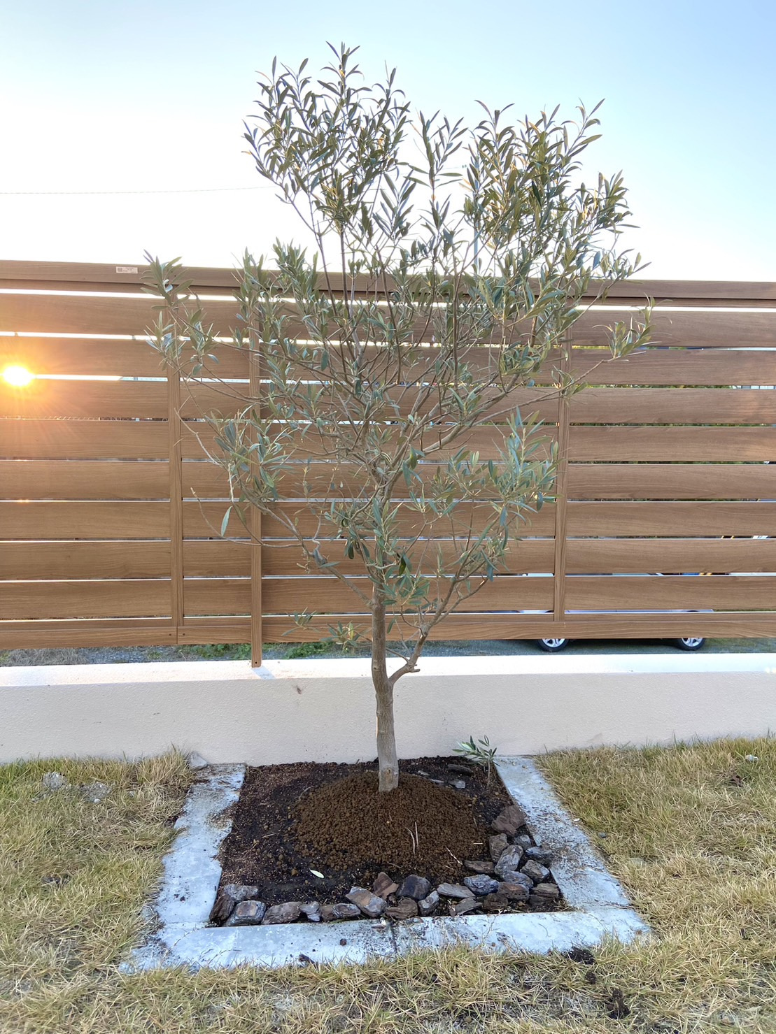 グリーンに癒された休日♡の画像