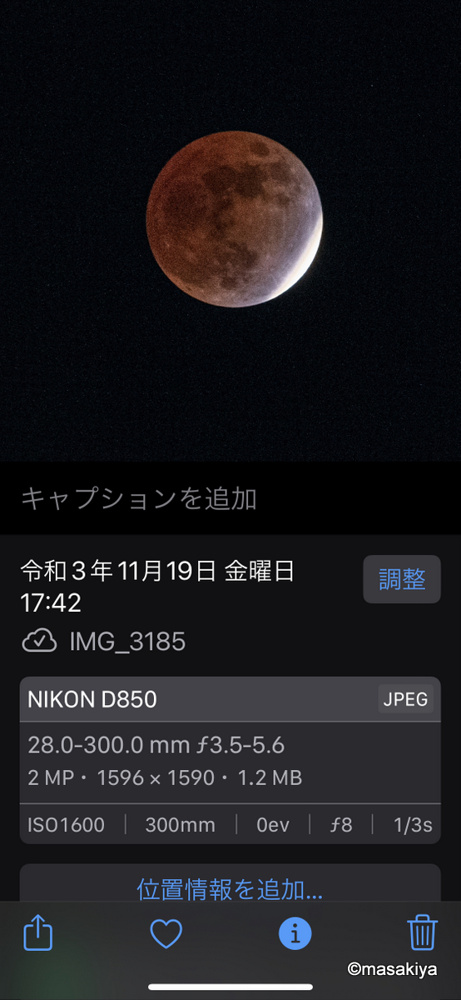 ネコの見張りの画像