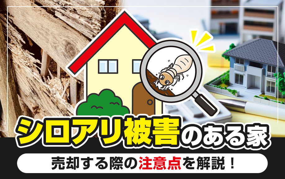シロアリ被害のある家を売却する際の注意点を解説！の画像