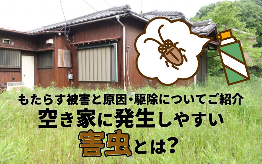 空き家に発生しやすい害虫とは？もたらす被害と原因・駆除についてご紹介の画像