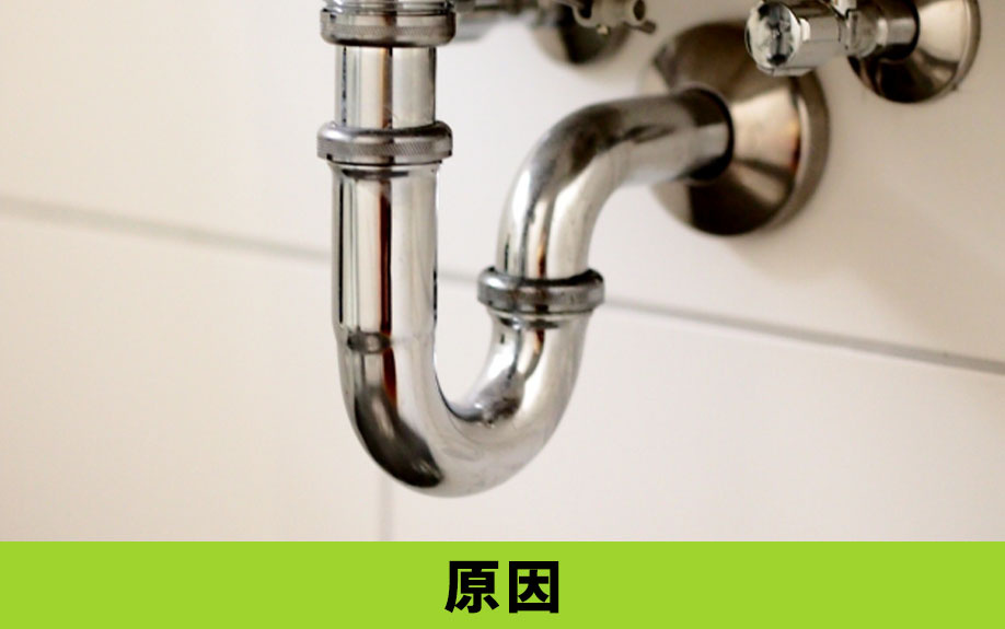 どうして空き家に害虫が発生するの？原因を調査！