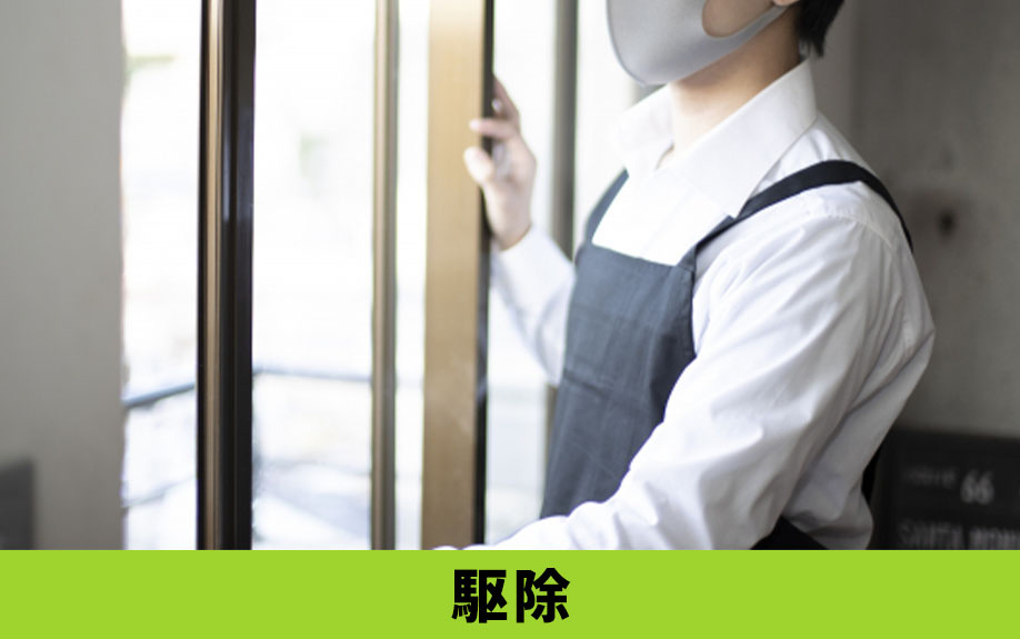 空き家の害虫駆除はどうしたら良いの？対策方法をご紹介