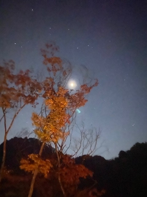 市街化調整区域の売却査定もお任せください♪の画像