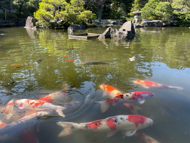 いつぶりだろうの画像
