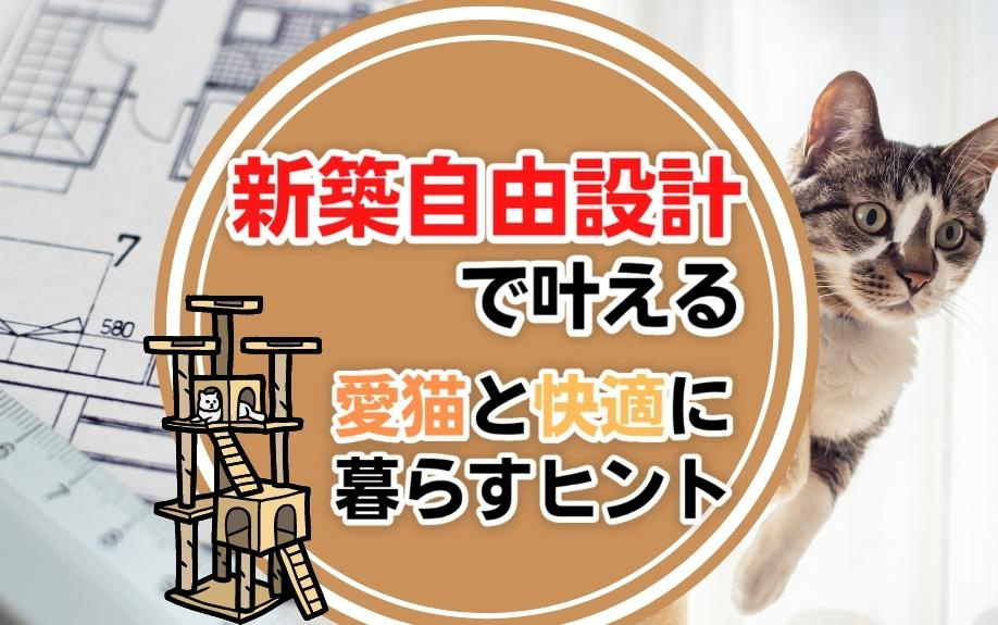 新築自由設計で叶える愛猫と快適に暮らすヒントの画像