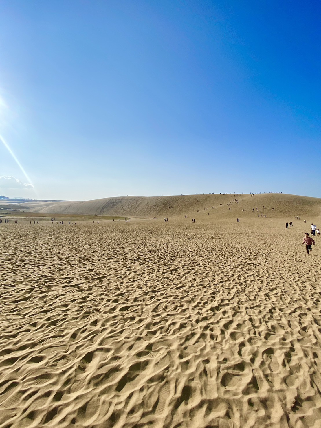 おじいちゃん、おばあちゃん孝行♡の画像