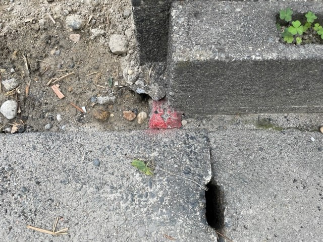 【あま市の不動産売却】境界杭の画像