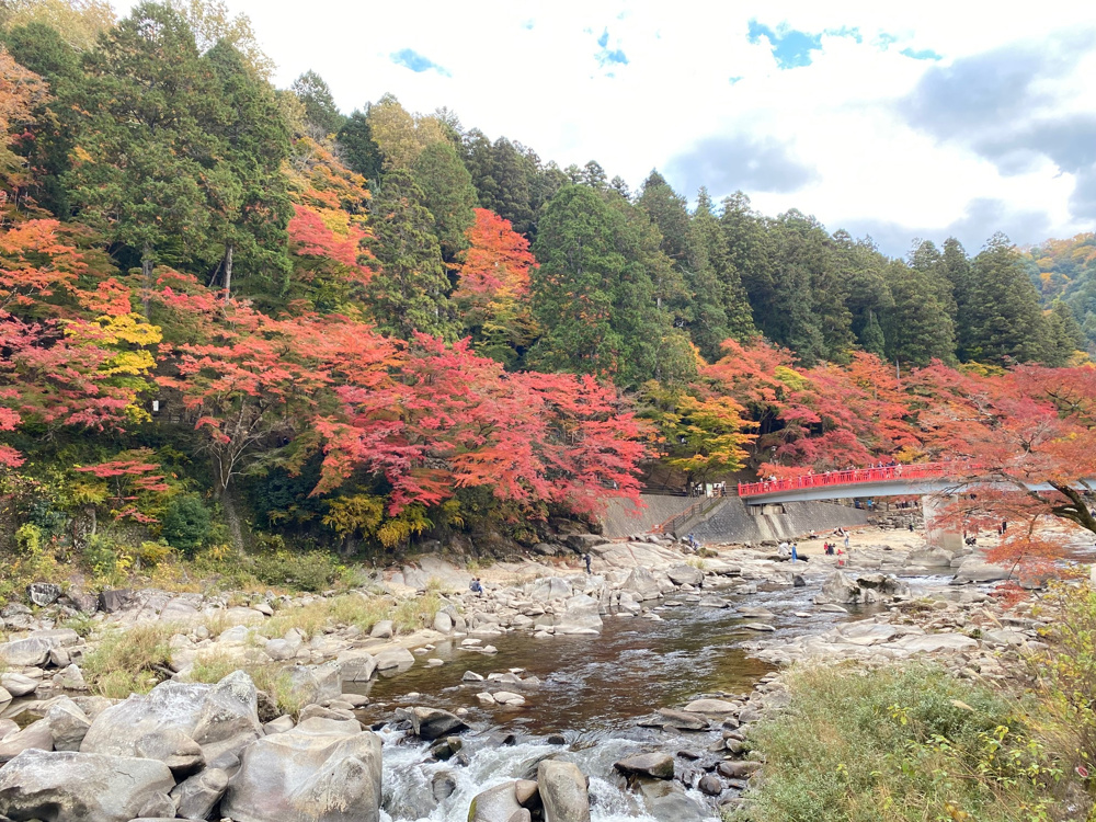 秋の魅力満点です(^^)/の画像