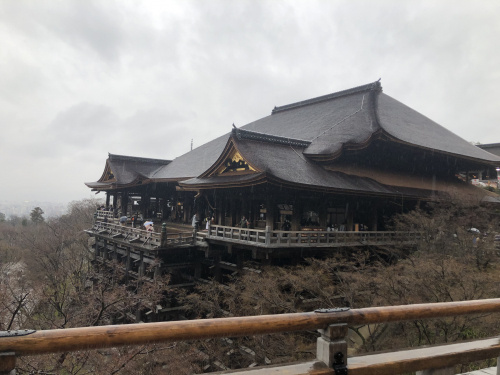 初めまして！！の画像