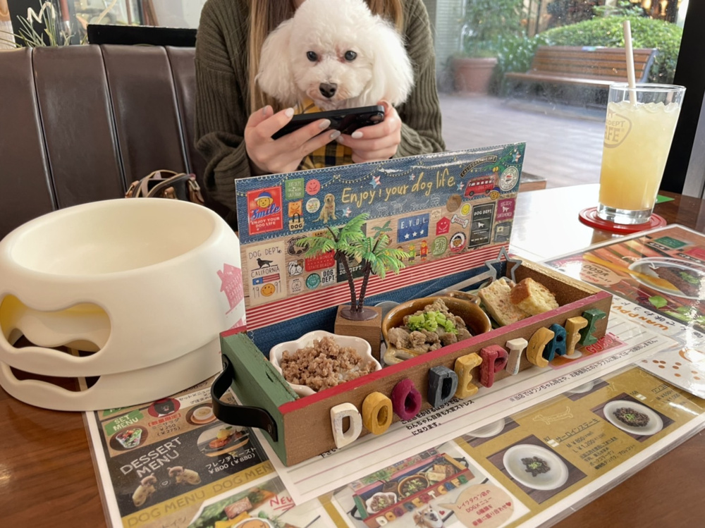 ～ドッグカフェ～の画像