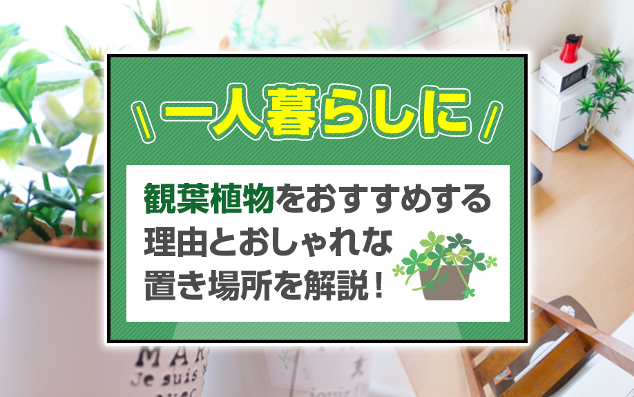 一人暮らしに観葉植物をおすすめする理由とおしゃれな置き場所を解説！の画像
