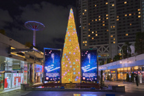 文京区のイルミネーション情報☆彡の画像