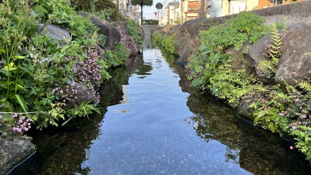 水路に接した土地の売却はなぜ難しい？売却するときの注意点の画像