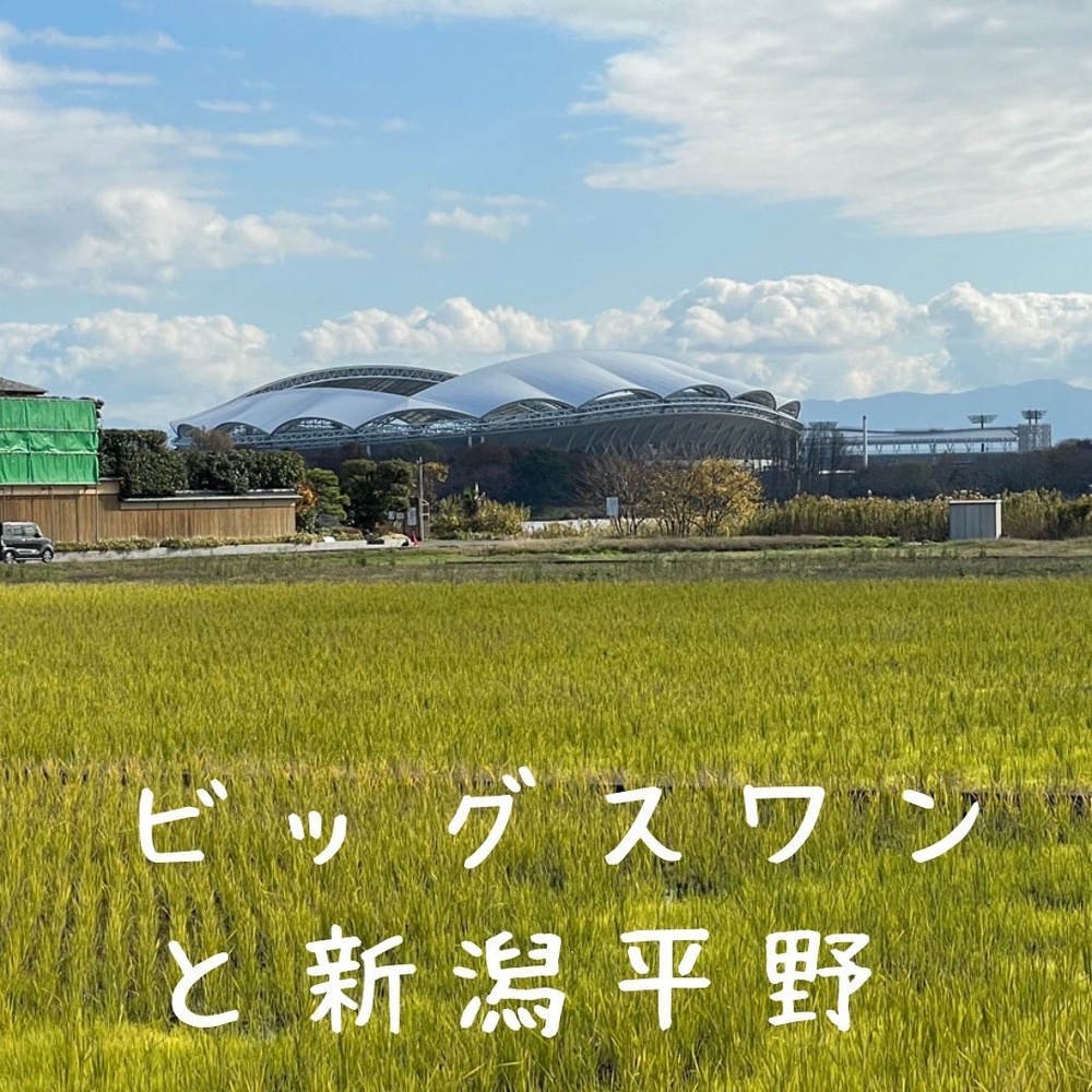新潟市中央区　初心に戻っての画像