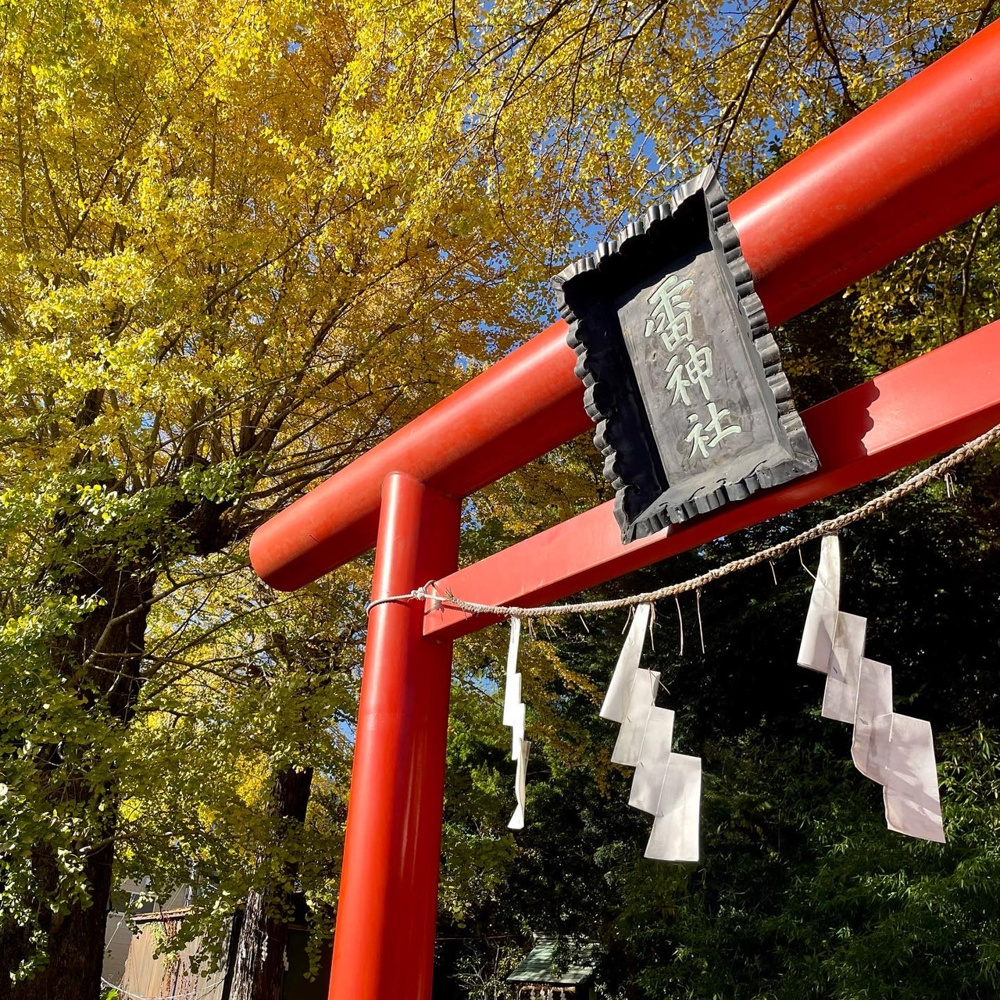 【500年】古木銘木五十選【歴史】の画像